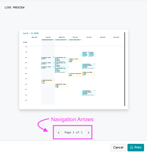 Screenshot: Live Preview