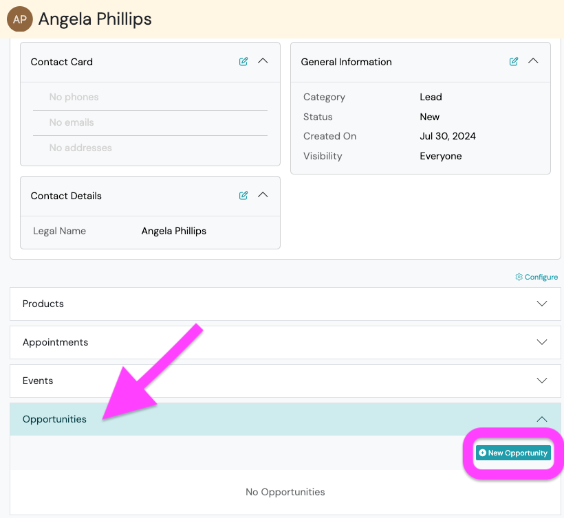 Screenshot: Segment Leads using Opportunities